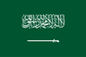 Saudi Arabia logo